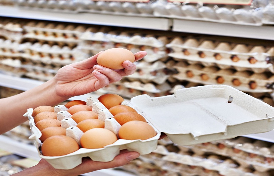 Hillandale Farms Provides An Introduction To American Humane Certified Free-Range Eggs