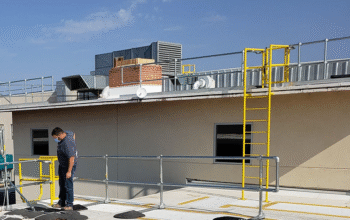 fixed access ladders